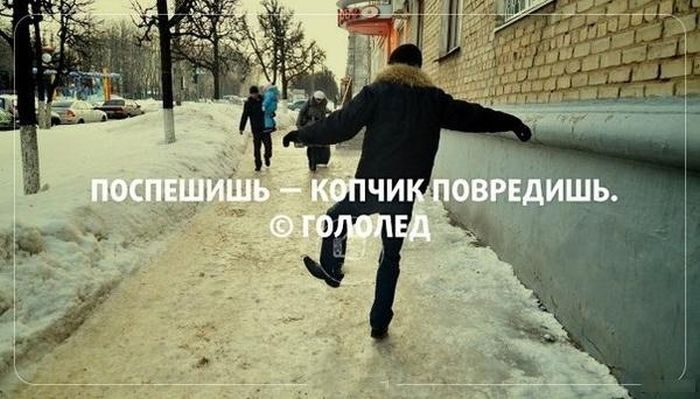 Злободневные цитаты. Голосуйте!