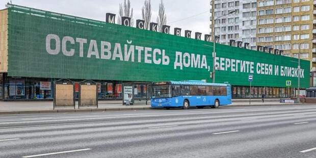 Число оштрафованных за нарушение карантина в Москве достигло 55 человек / Фото: mos.ru