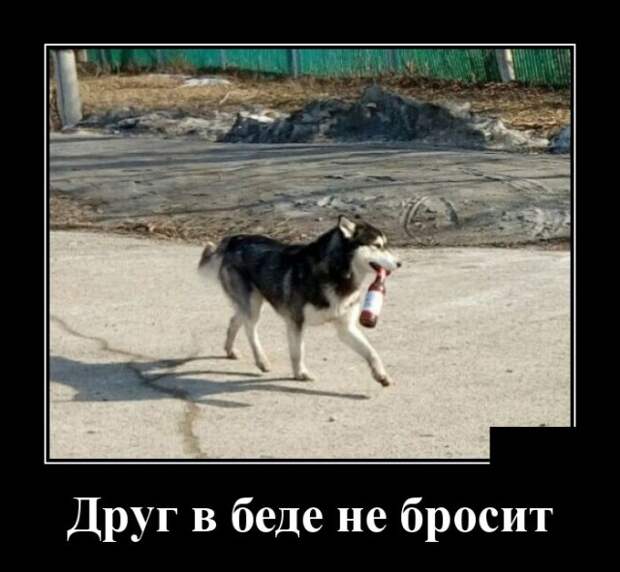 Демотиваторы (30 фото)