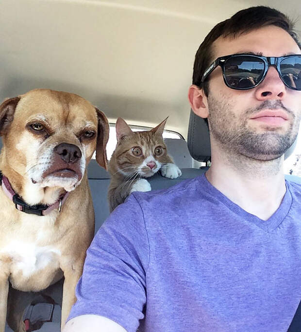 Which One Has His First Trip To The Vet?