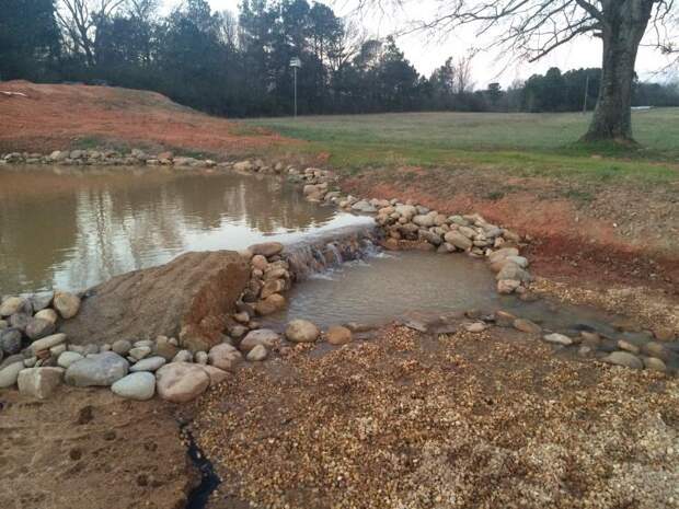 Площадь около дома выглядела скучно. Мужчина потратил три года и своими руками создал красоту: фото