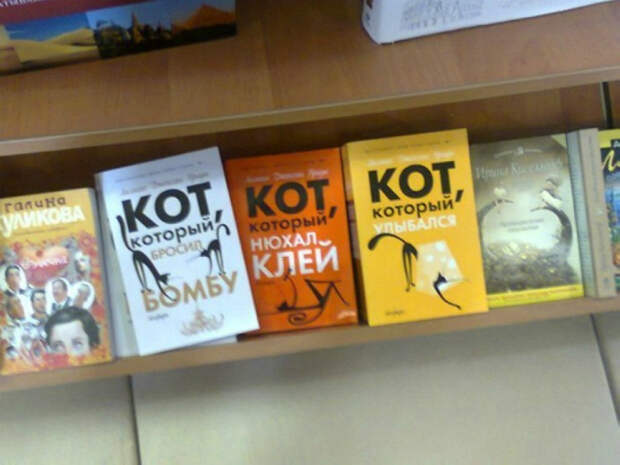 Увлекательная жизнь кота.