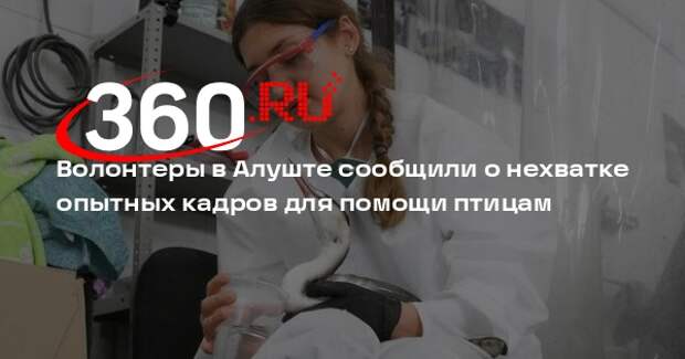 Волонтер Вилямовский: в Алуште нужны опытные орнитологи, ветеринары и ловцы птиц