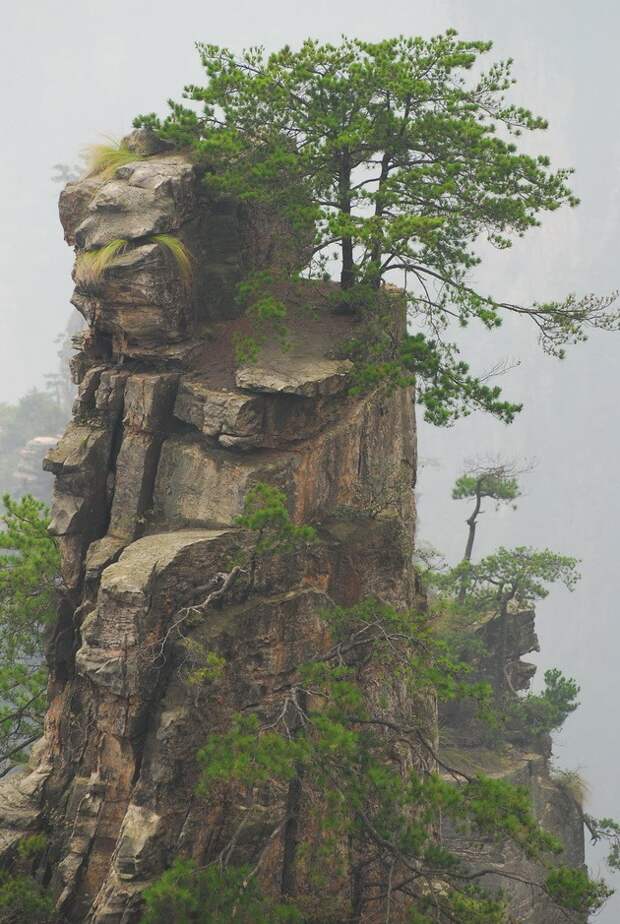 Национальный парк Чжанцзяцзе (Горы Улинъюань). Китай