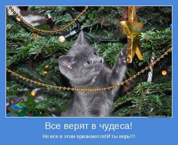 С Новым Годом милые друзья!