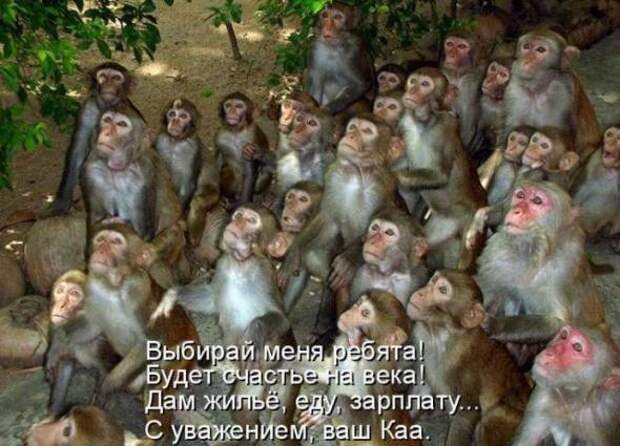 Продолжаем подготовку к Новому Году.