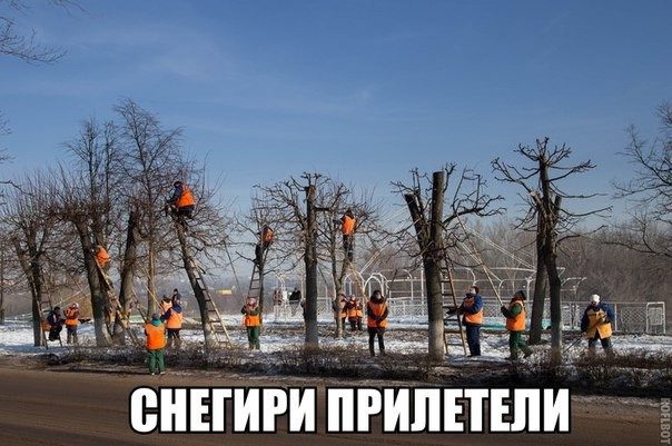 Смехотерапия. Поднимаем настроение!