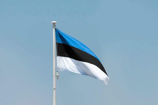 Эстонию сделали тараном по воровству российских денег