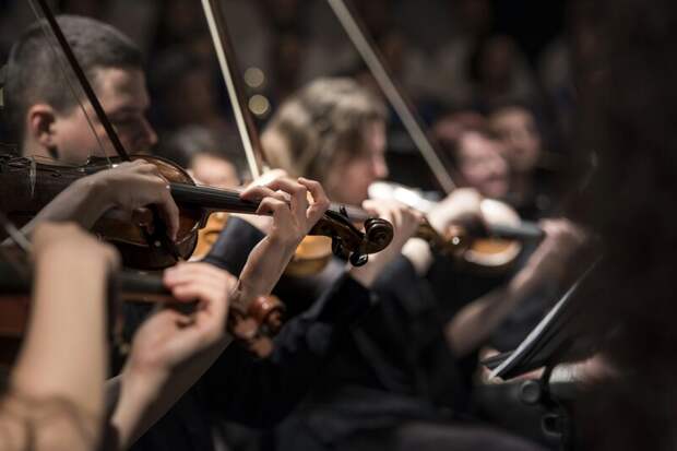 В Санкт-Петербурге откроется XVII Международный фестиваль "Музыкальная коллекция"