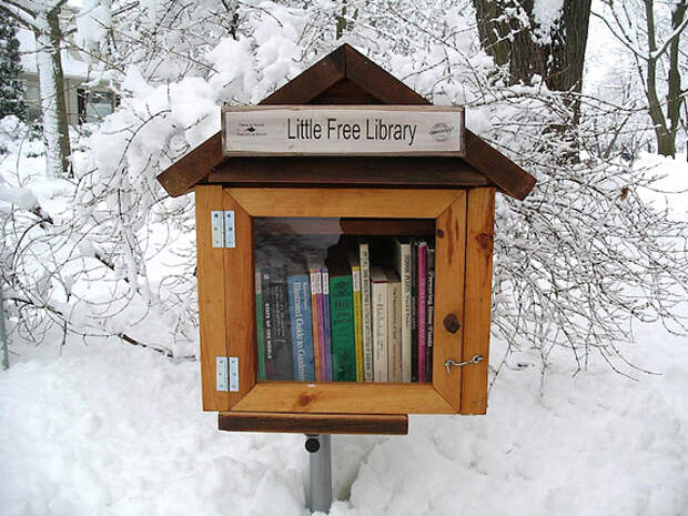 Little Free Library: библиотека в боксе