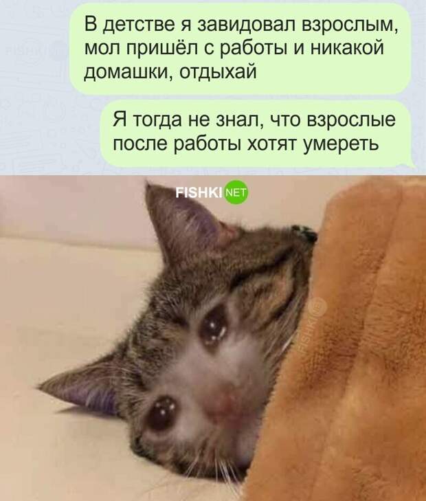 Да что вы вообще знаете о зависти? Да что вы вообще знаете о зависти?