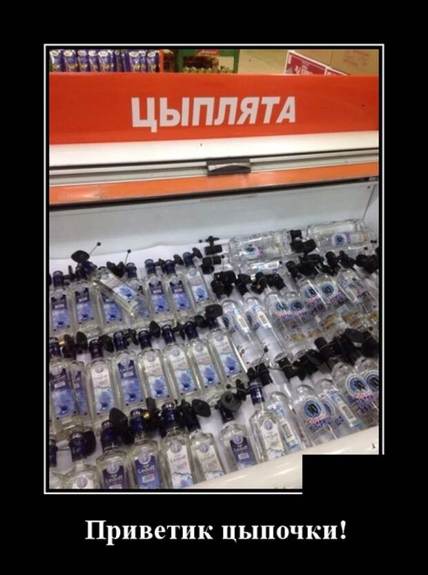 www.vsyako.net