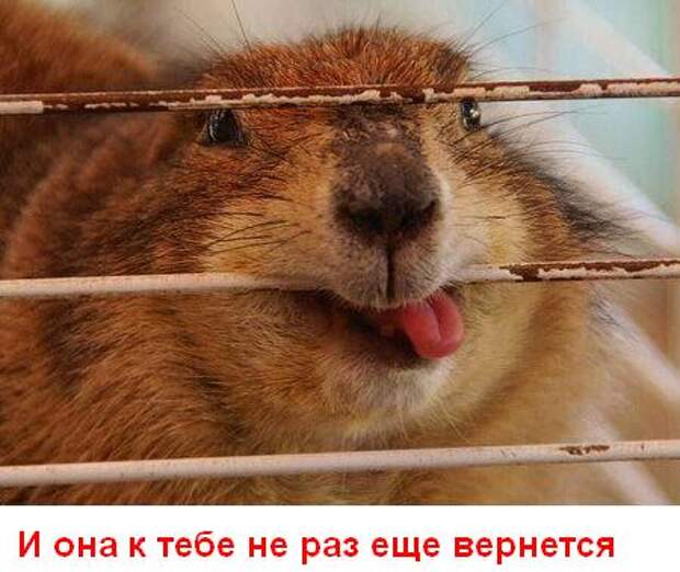 Улыбнись (15 картинок)