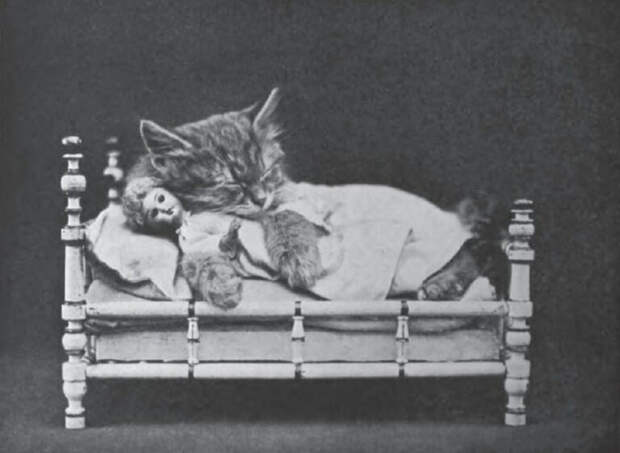 Почему сон на правом боку опаснее сна на левом боку