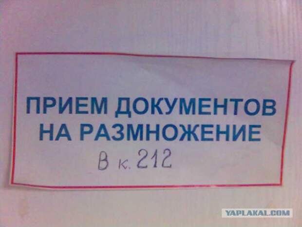 Надписи и объявления с просторов