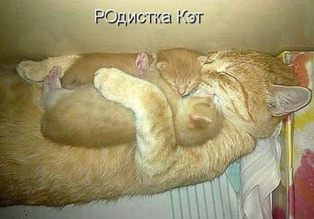 1d9df828fb2d6cb569033ab0a71_prev