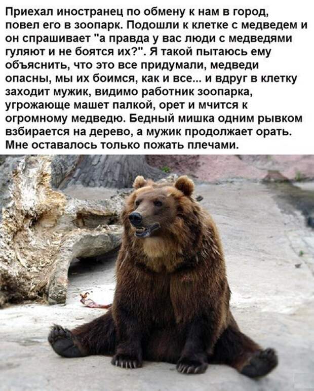 KVa7TZ2uegM.jpg
