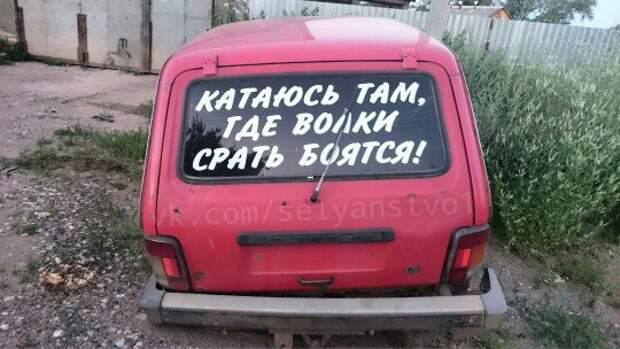 Нестандартный юмор :)
