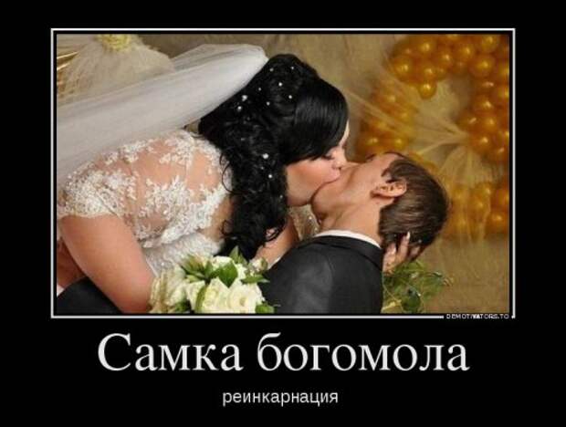Новые демотиваторы (21 шт)