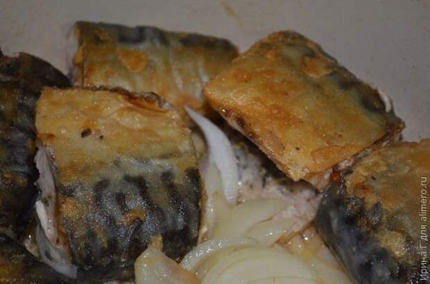 Скумбрия жареная с травами и луком рецепт Скумбрия жареная с травами и луком рецепт