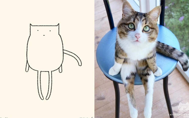 парень плохо рисует кошек но у него получается так похоже, DailyPrrr