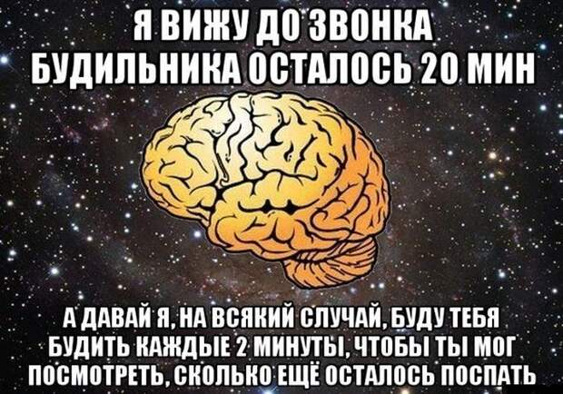 Прикольные картинки Прикольные картинки