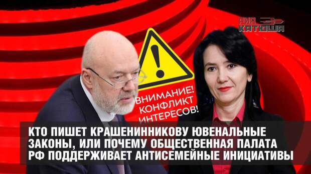 Теперь понятно кто пишет Крашенинникову ювенальные законы