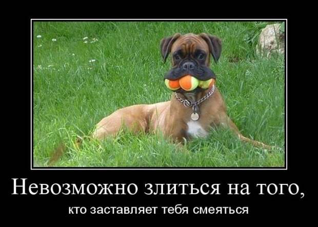 А ты правда пришла ко мне из сказки? А ты правда пришла ко мне из сказки?