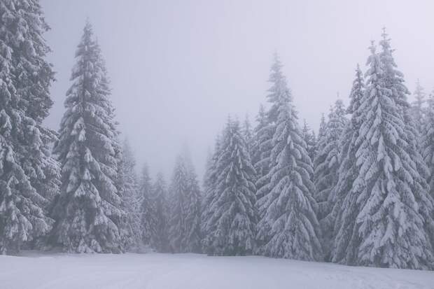 pexels-maria-orlova-4913507