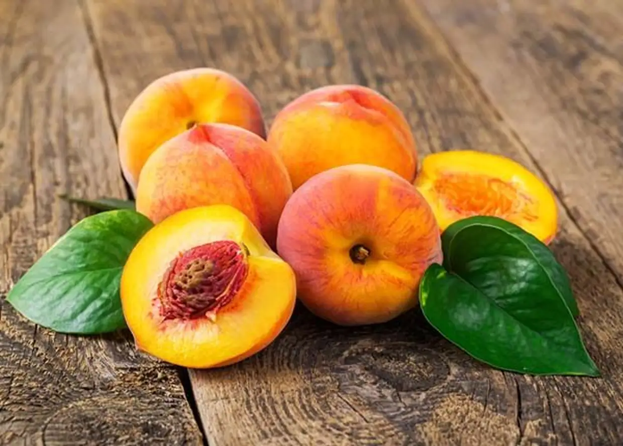 Как выращивать персик из косточки в домашних условиях - Огород ...