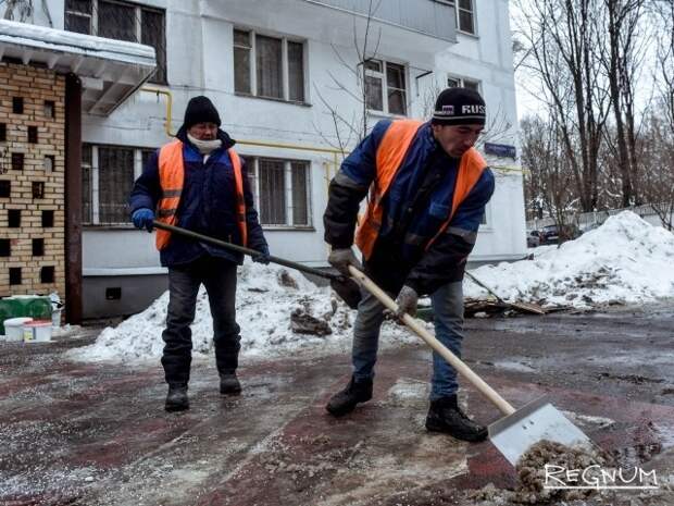 Химкинские дворники оказались самыми продвинутыми: как имитация уборки стала нормой, а иностранцы пешками в руках ЖКХ