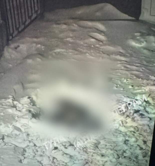 Человек выпал из окна дома на улице Сурикова