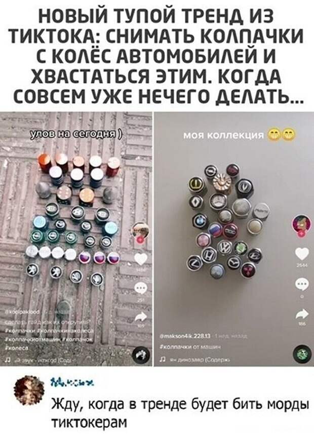 Смешные и познавательные картинки