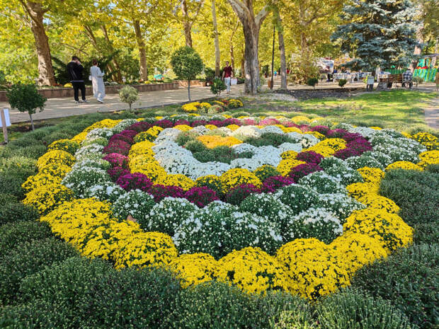 Погода 10 ноября: днём до +18