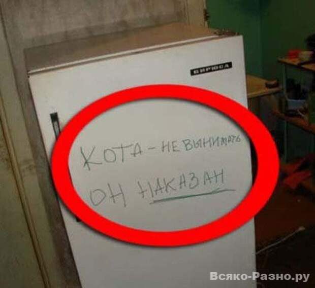 Очередная подборка смешных надписей и объявлений