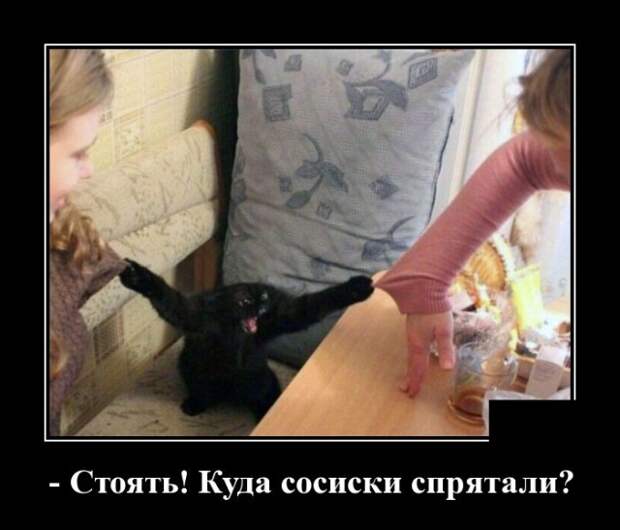 www.vsyako.net