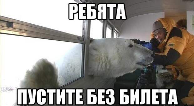 Подборка автоприколов. Часть 193 автоприколы, приколы