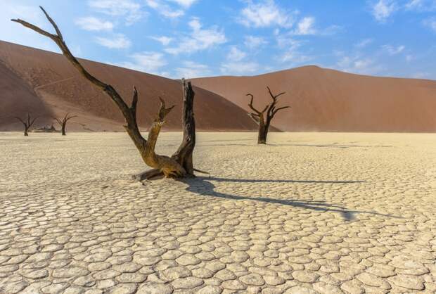 Африка. Намибия. Пустыня Намиб Соссусфлей Sossusvlei20 Африка. Намибия. Пустыня Намиб Соссусфлей