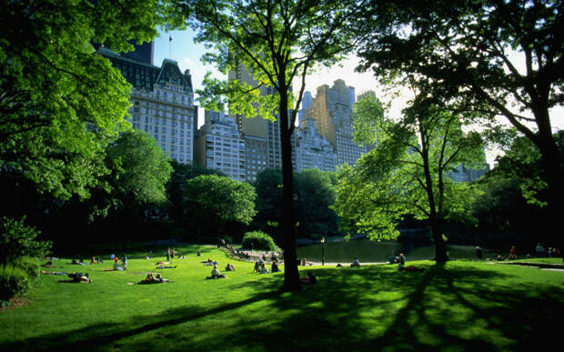 central-park-view-1440-900-5279 central-park-view-1440-900-5279