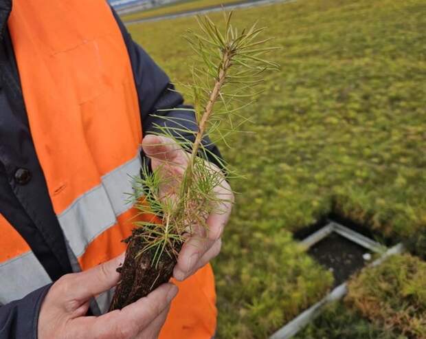 Фото: Утро.ру