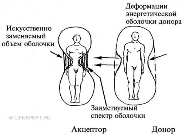 Явление 
