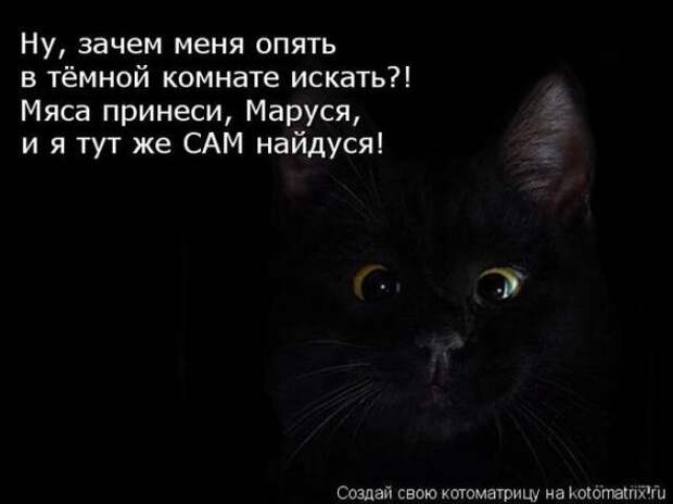Котоматрицы(картинки с надписями)