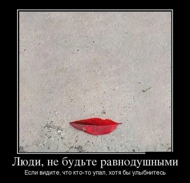 Жизнь удалась! Демотиваторы Очередная, подборка, демотиваторов, хорошего, настроенияисточник