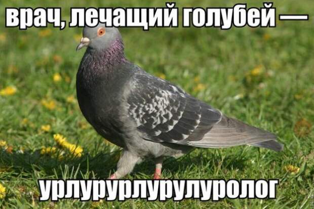 Деградировать подано