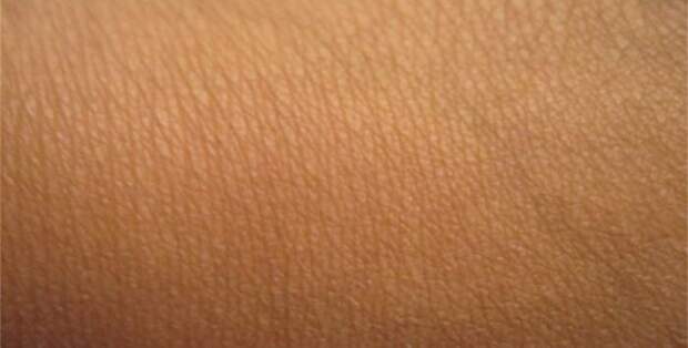 интересное, планета, жизнь, животные, люди, факты