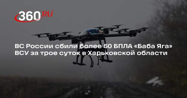 ВС России сбили более 50 БПЛА «Баба Яга» ВСУ за трое суток в Харьковской области