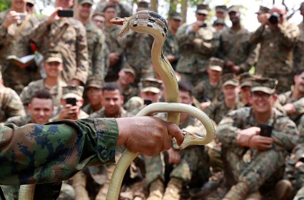 Морские пехотинцы США на учениях Cobra Gold