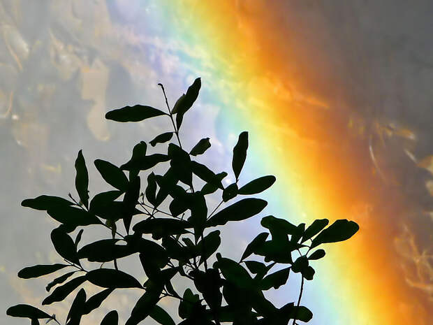 rainbow20 Радуга над самым большим водопадом в мире