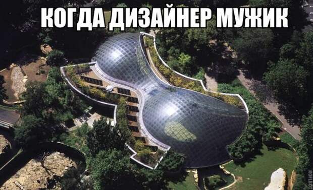 Смешные картинки с надписями прикол, юмор