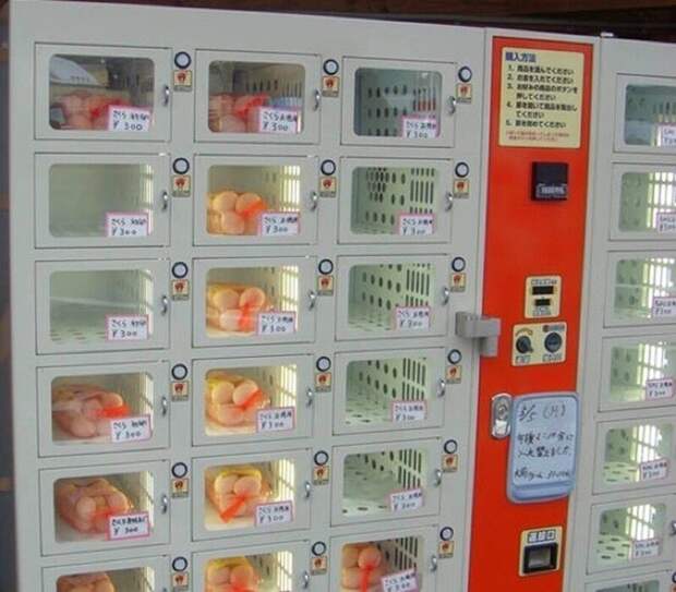 Яичный автомат в Японии
